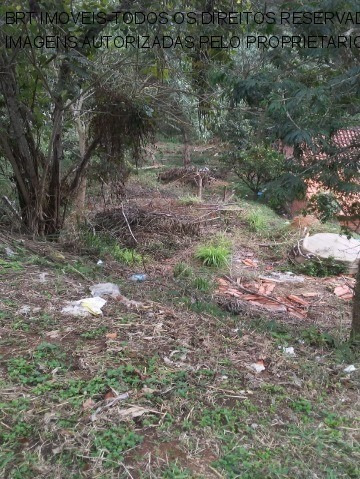 Imagem 2 de 6 de Terreno - Te00137 - 68088456