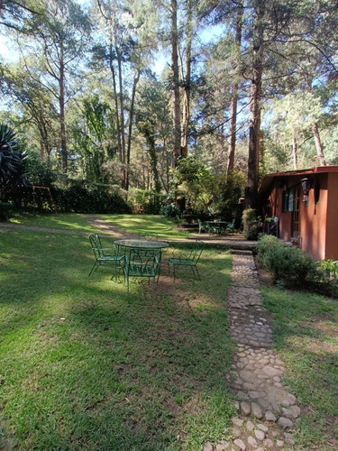 Imagen 3 de 19 de Departamento Tipo Cabaña En Medio Del Bosque Cerca De Santa Fe Pet Friendly Zona Ecolgica San Mateo Tlaltenango