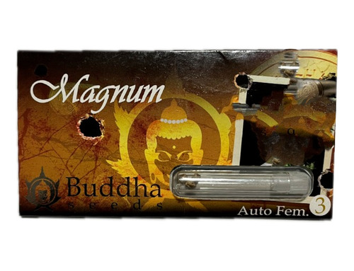 Semilla Auto Magnum Buddha Seeds X3