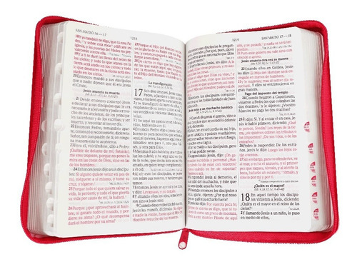 Biblia Letra Grande Rosa Cierre E Indice Reina Valera 1960
