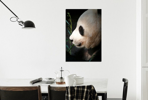 Vinilo Decorativo 30x45cm Oso Panda Natura Deco Interior M5