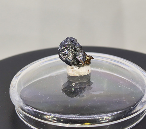 Mineral Plata Mineral Raro Aguilarita Localidad Tipo #8 (Usado)