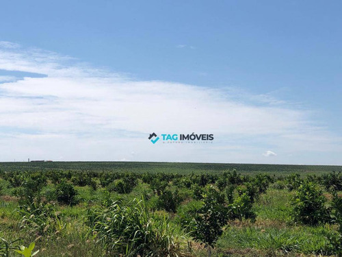 Imagem 1 de 3 de Fazenda Para Venda Com 255 Hectares No Espírito Santo Do Turvo - Sp - Fa0008