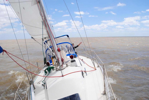 Velero Frers 31