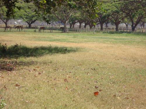 Imagen 2 de 14 de Se Vende Hacienda Agropecuaria