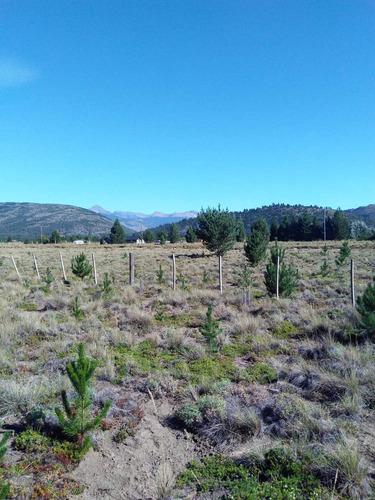 Venta De Lote En Lolog, Junin De Los Andes, Neuquén