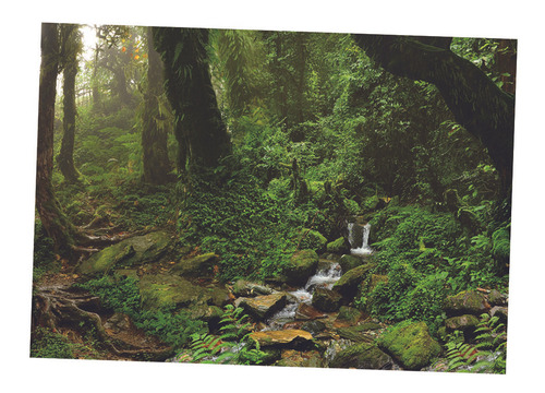 Cartaz Da Paisagem Do Aquário