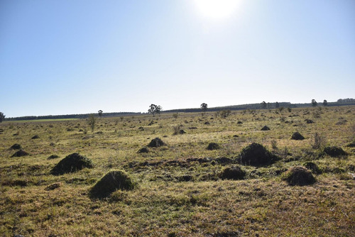 Imagen 8 de 22 de Campo Mixto En Venta Estación Yeruá