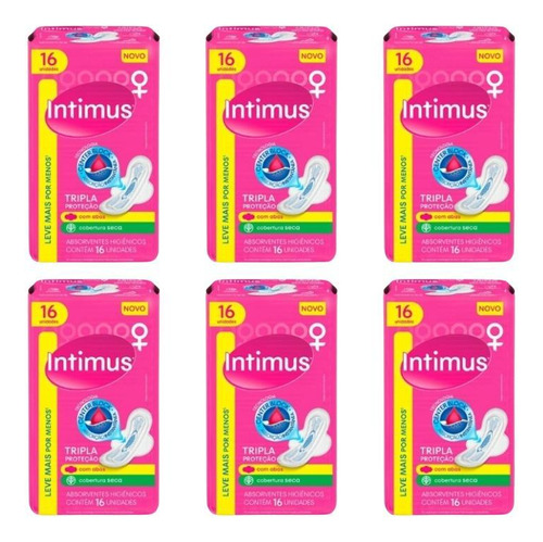 Absorventes femininos Intimus Seca com Abas