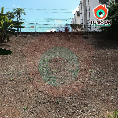 Imagen 3 de 6 de Terreno + Casa En Casco Central De Charallave (bulevar)