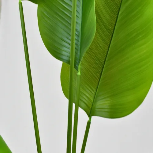 Planta Artificial Strelitzia Nicolai Hiperrealista Xl 180cm Color Verde