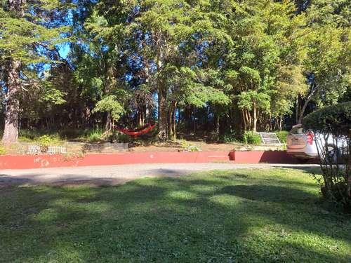 Terreno Con Bosque Nativo, Bosque De Arrayanes Y Riachuelo