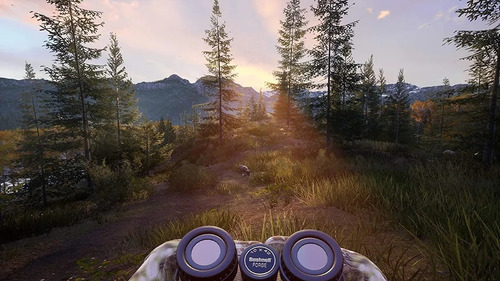 Hunting 2 Simulator 2 Standard Edition Ps4 Nuevo