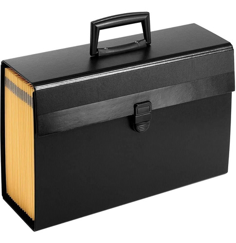 Carpeta Archivero Oficio Portafolio Organizador Documentos