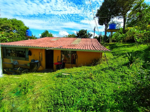 Venta Casa Lote Rural De 1.000 M2 En Pacho
