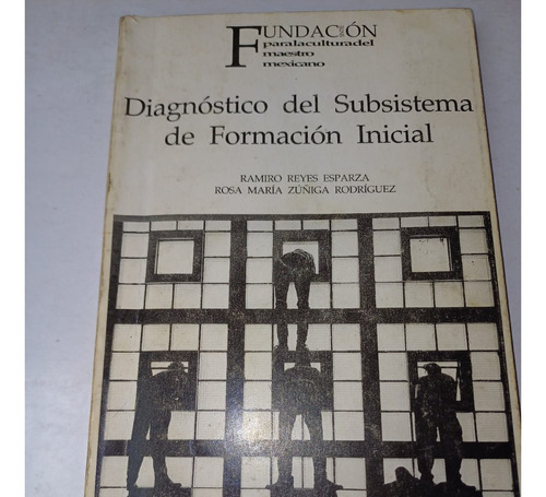 Diagnóstico Del Subsistema De Formación Inicial  R.reyes E.