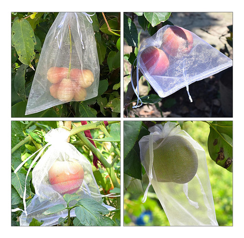 100 Piezas Bolsas De Protección De Frutas De Uva 10cmx12cm