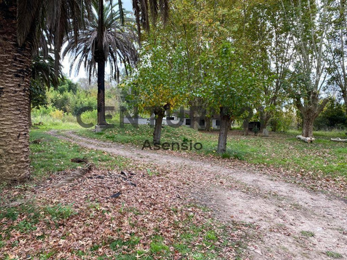 Imagen 9 de 11 de Lote Para Desarrollo