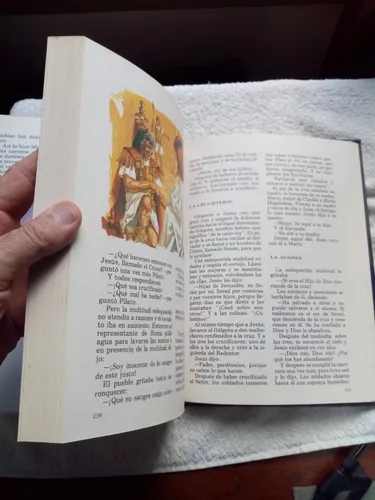 La Biblia Para Jovenes - Antiguo / Nuevo Testamento- T. Dura (Usado)