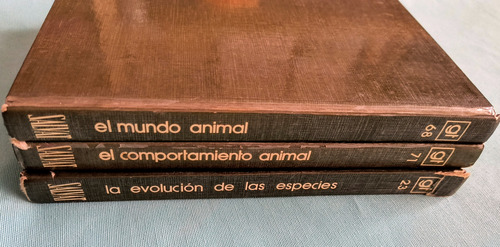 Biblioteca Salvat Gt De Grandes Temas 23,68 Y 71 (Usado)