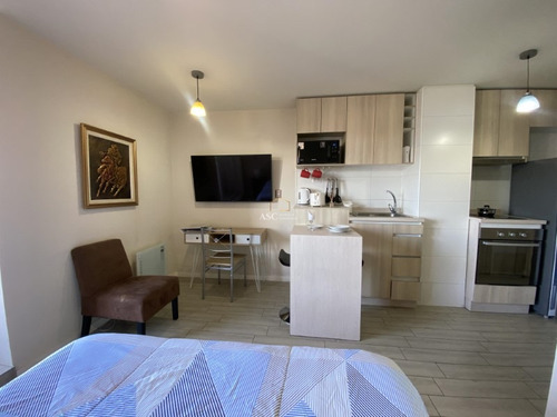 Céntrico Y Agradable Departamento Estudio Amoblado.