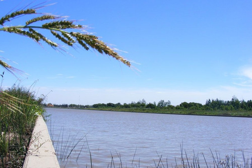 Imagen 5 de 11 de Recotizado Julio! Lote Al Río - Barrio San Juan, Tigre