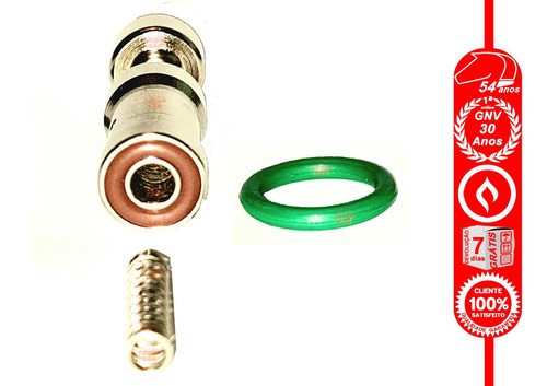 Imagem 3 de 6 de Jogo 4 Kit Reparo De Bicos Injetores Gnv Modelo Valtek Stag