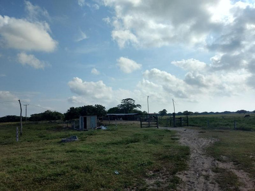 Venta Rancho 150 Hectareas Frente Laguna Tamiahua Veracruz