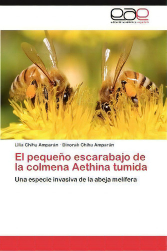 El Pequeno Escarabajo De La Colmena Aethina Tumida, De Lilia Chihu Ampar N. Eae Editorial Academia Espanola, Tapa Blanda En Español