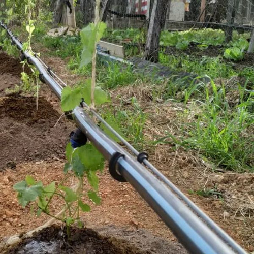 200 Ganchos De Fixação Mangueira Gotejadora 16mm- Irritec