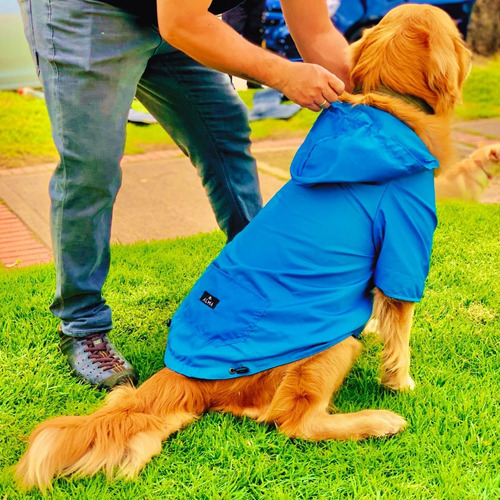 Imagen 3 de 10 de Ropa Para Mascotas Perro/gato Chaqueta Impermeable Talla Med