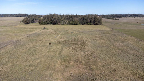 Venta De Campo En Veronica
