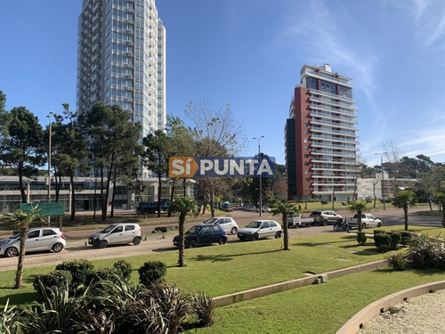 Imagen 14 de 23 de Espectacular Apartamento En Venta