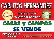 Imagen 7 de 9 de 1 Campos Necesitamos Para Arrendar Y Venta - Ganadero Agricola Tambo Forestal Mixto Tenemos Pedidos Concretos En Todo El Pais Se Ofrece Garantia Y Renta Pagada Por Adelantado Rapida Revisasion Reserva