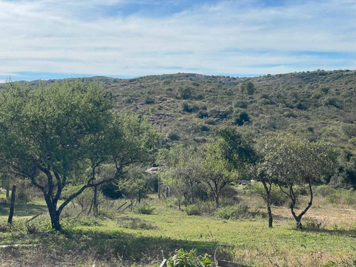 Tanti Lotes 2.500 M² Con Escritura Y Vistas