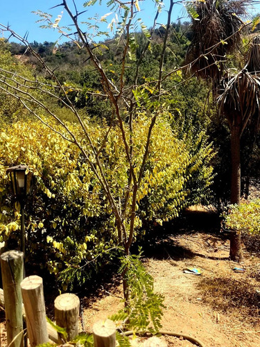 Venta Parcela Y Centro Recreacional Cajon De Lebu Limache