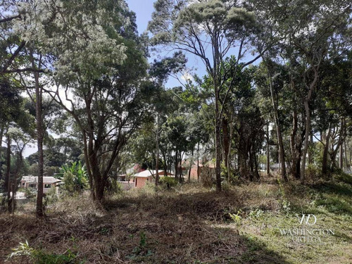 Imagem 7 de 14 de Chácara À Venda, 34000 M² Por R$ 1.900.000,00 - Colônia Murici - São José Dos Pinhais/pr - Ch0061