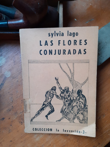 Sylvia Lago // Las Flores Conjuradas