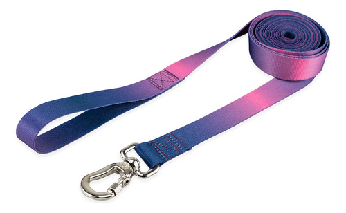 Coleira Guia 10 Metros Para Cães Cachorro Adestramento Passeio Tamanho M Porte Médio Basic Pet Lily