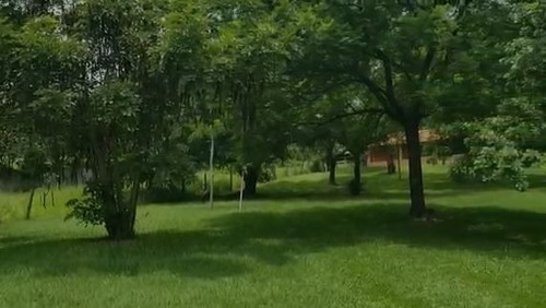 Imagem 9 de 12 de Chácara Com 1 Dormitório À Venda, 3196 M² Por R$ 2.000.000,00 - Estância Das Flores - Vinhedo/sp - Ch0160