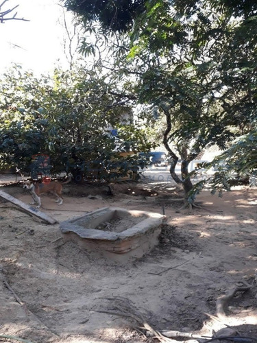 Imagem 5 de 11 de Imobiliária Em Campinas Homegods, Chácara Com 1.248 Metros De Terreno, Com Valor Muito Abaixo Do Mercado - Ch00051 - 69278162