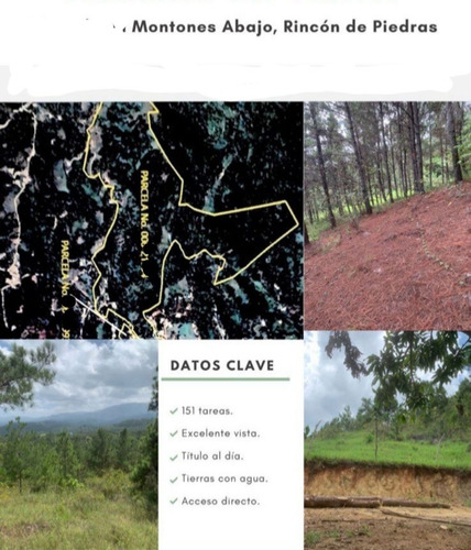 Vendo Finca 151 Tareas Los Montones Abajo, Sajoma Santiago