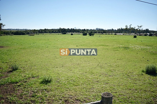 Imagen 3 de 19 de Chacra San Carlos Ruta 9
