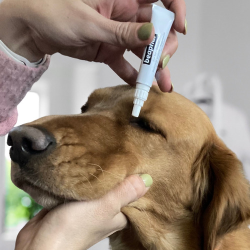 Beaphar Lubricante Gel Ocular 5ml Perro, Gato Y Roedores.