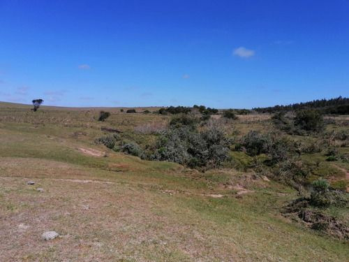 Venta De 30 Hectáreas De Campo En Garzón Maldonado (ref: Ksk-222)