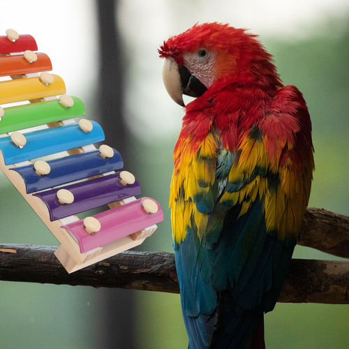 1 Juego De Juguetes Para Masticar Pájaros, Juguetes Para Lor