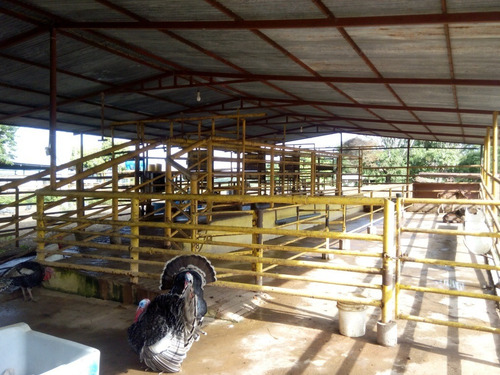Imagen 21 de 27 de Se Vende Finca En Caicara De Maturin Sec Bajo Gde Ve02-1143cai-mtru