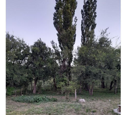 Imagen 12 de 30 de Paraíso Escondido , Campo De 78 Hectareas, En Venta En San Luis, Al Pie De Las Sierras Altas, Valle, Vista Única, Con Río Al Fondo , Bosque Nativo, Realmente Unico,,,para Mudarte Y Cambiar De Vida