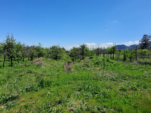 Casa En Venta De 4 Dorm En Parcela 5.000mts2 En Los Niches