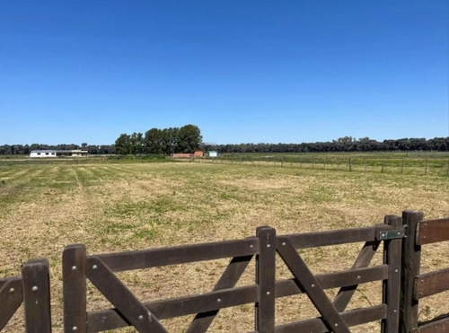 Terreno En Venta - 2794mts2 - Carlos Keen